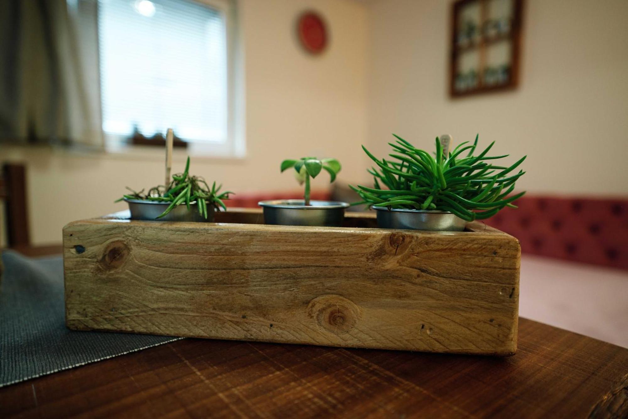 Apartment Hanny Ласко Экстерьер фото